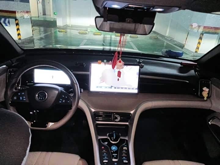 BYD Song Pro Hybrid, 2024 — фото 5 из 9