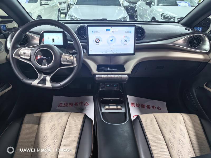 BYD Dolphin, 2025 — фото 7 из 11
