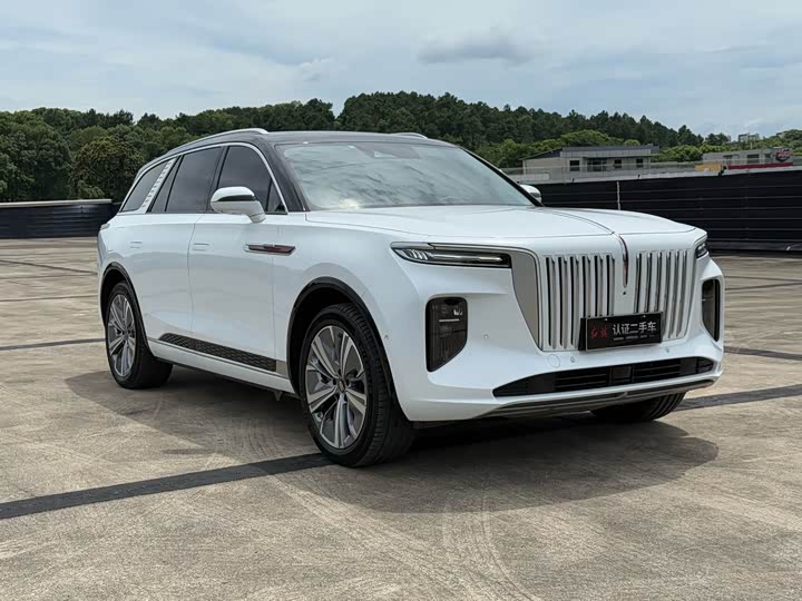 Hongqi E-HS9, 2023 — фото 3 из 9