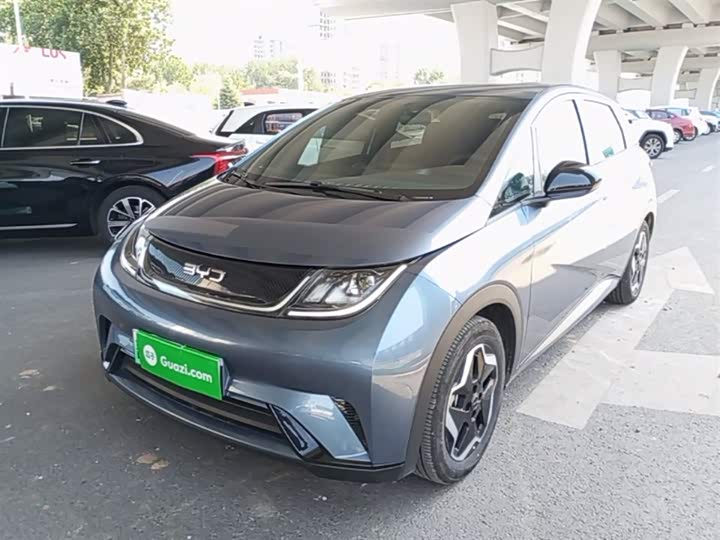 BYD Dolphin, 2024 — купить в Белгороде под ключ