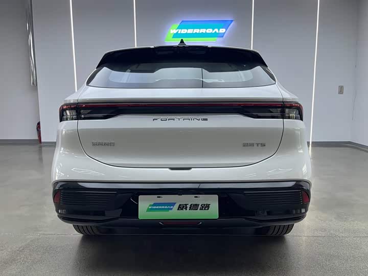 Dongfeng Forthing Xinghai T5, 2025 — фото 5 из 9