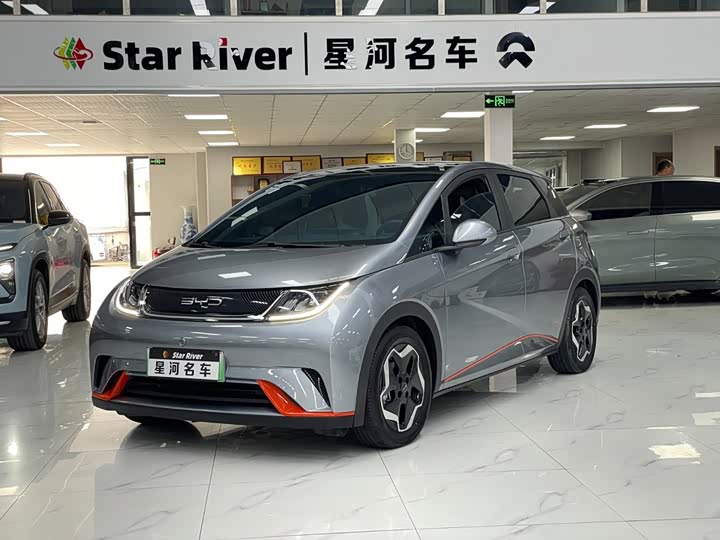 BYD Dolphin, 2022 — купить в Самаре под ключ