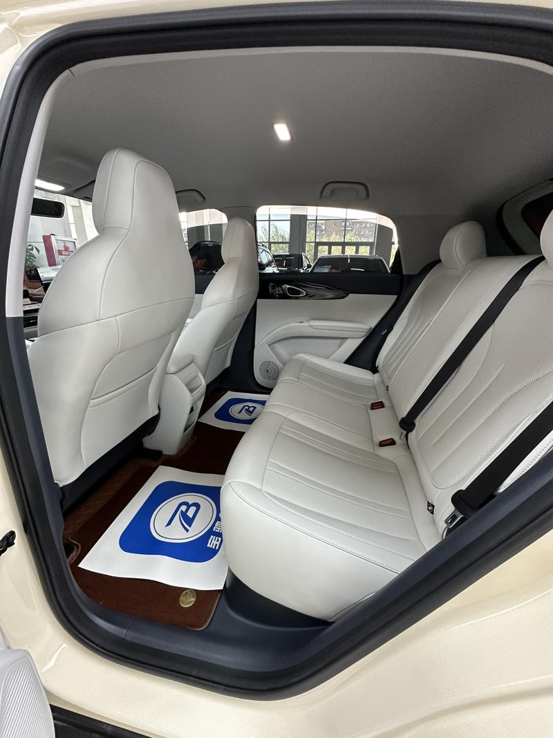 Geely Galaxy Geome, 2025 — фото 10 из 12
