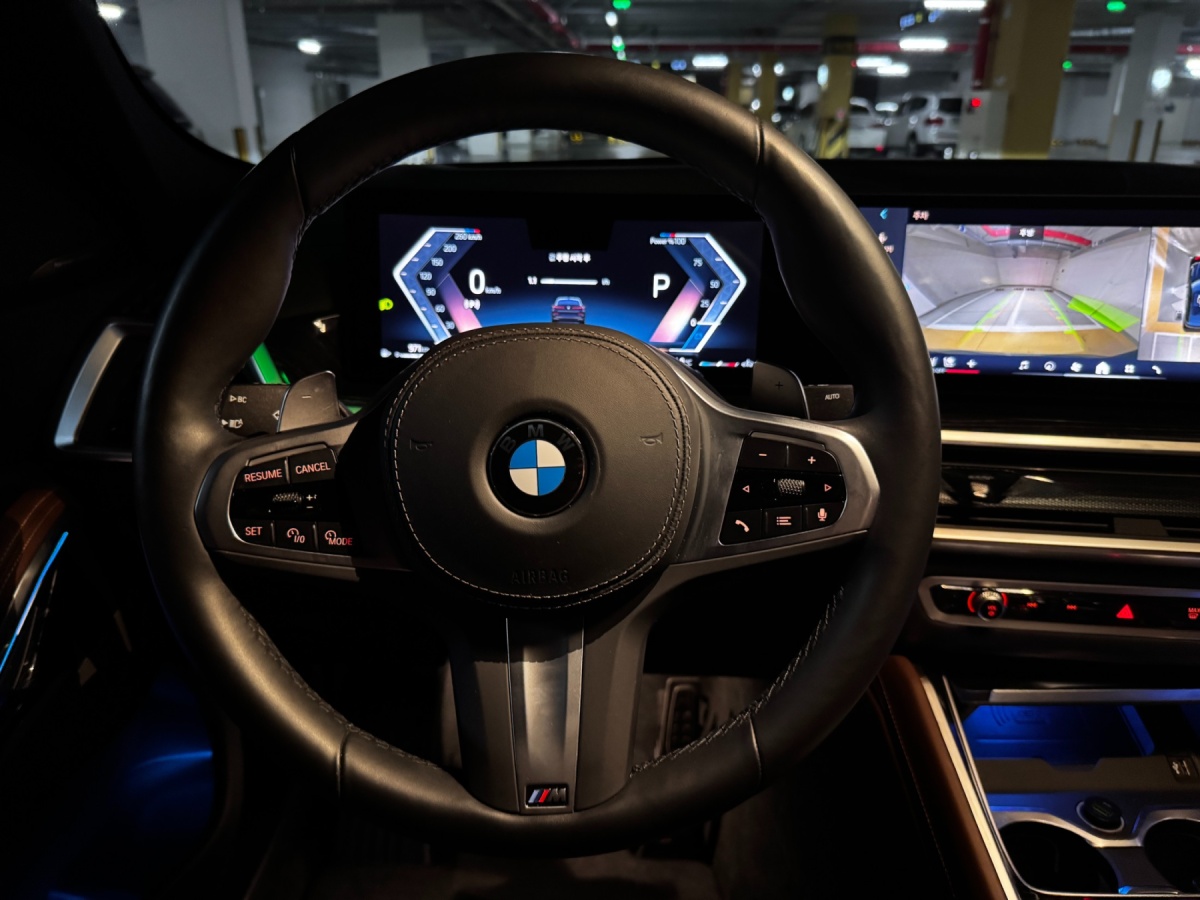BMW X6, 2025 — фото 11 из 12
