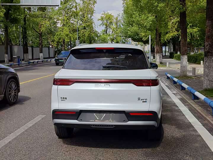 BYD Song Pro Hybrid, 2025 — фото 8 из 9