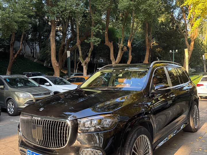 Mercedes-Benz GLS-Class, 2023 — фото 2 из 12