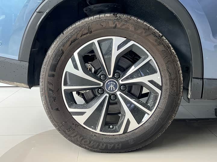 BYD Song Pro Hybrid, 2025 — фото 9 из 9