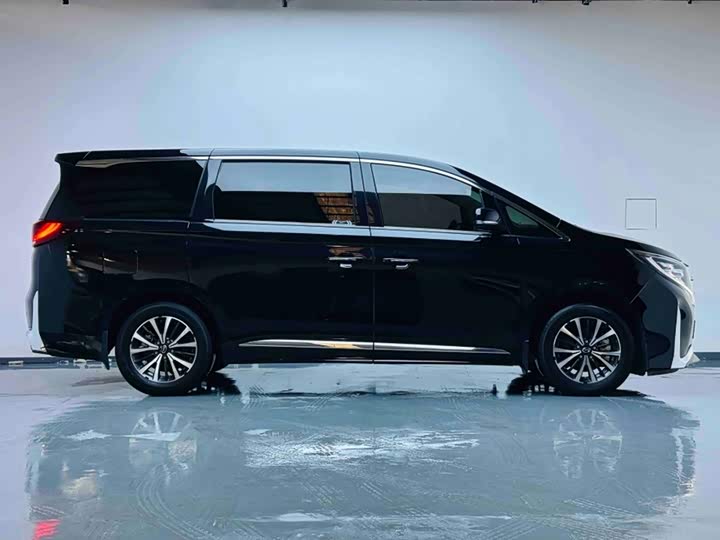 GAC Trumpchi M8, 2023 — фото 8 из 9