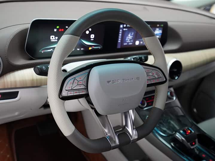 Dongfeng Forthing Yacht, 2024 — фото 8 из 9