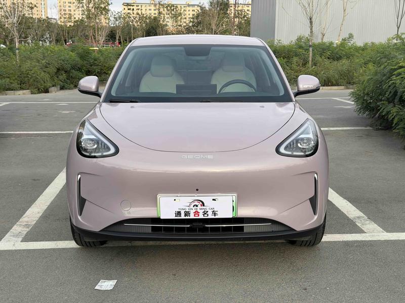 Geely Galaxy Geome, 2026 — фото 2 из 10
