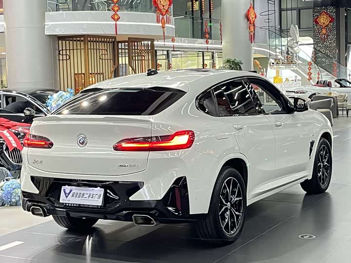 BMW X4, 2024 — фото 7 из 9