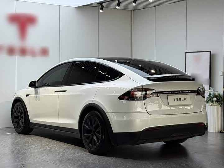 Tesla Model X, 2023 — фото 5 из 9