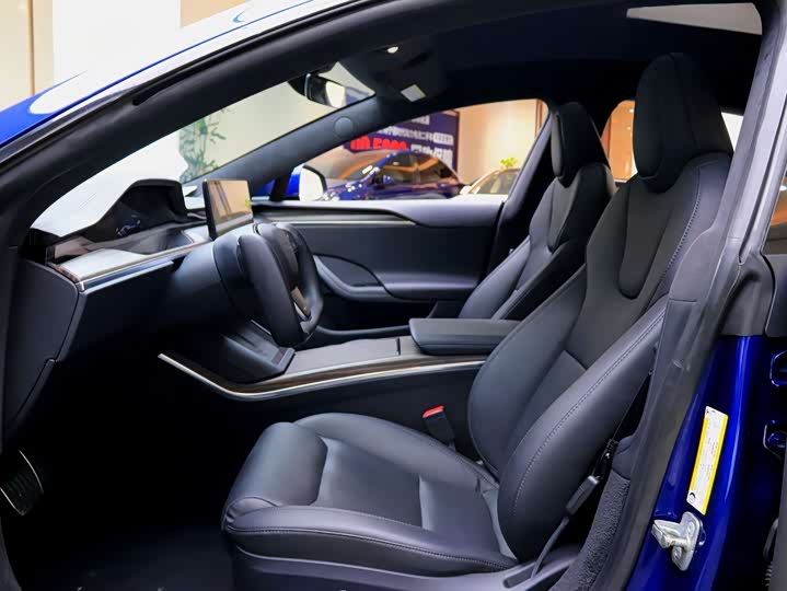 Tesla Model S, 2023 — фото 4 из 9