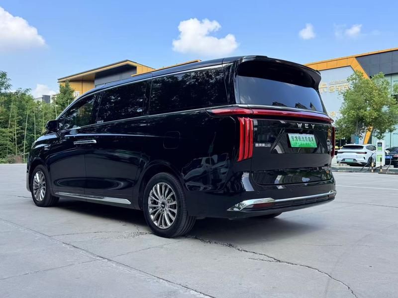 Wey 80 Hybrid, 2025 — фото 4 из 12