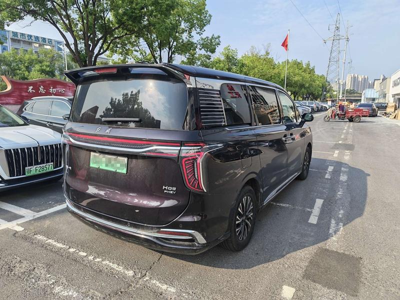 Hongqi HQ9 Hybrid, 2024 — фото 4 из 12