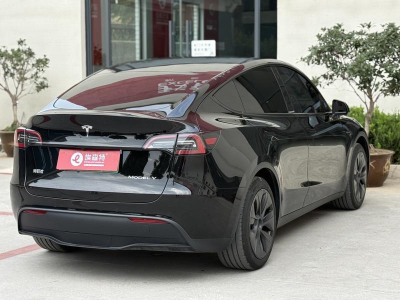 Tesla Model Y, 2023 — фото 6 из 10