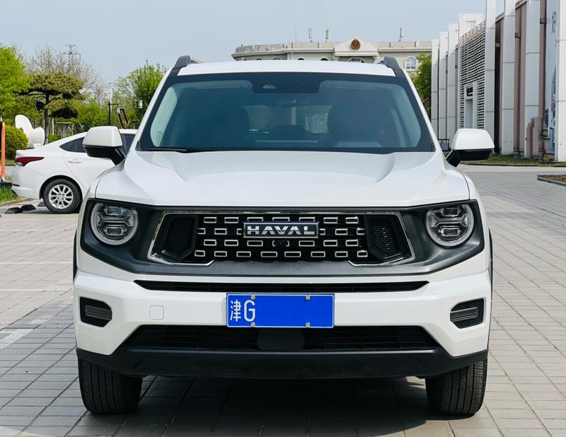 Haval H-Dog, 2024 — фото 2 из 12