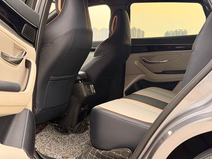 BYD Song Plus Hybrid/EV, 2021 — фото 8 из 9