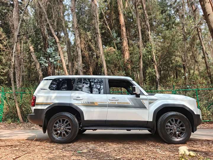 Toyota Prado, 2024 — фото 5 из 9