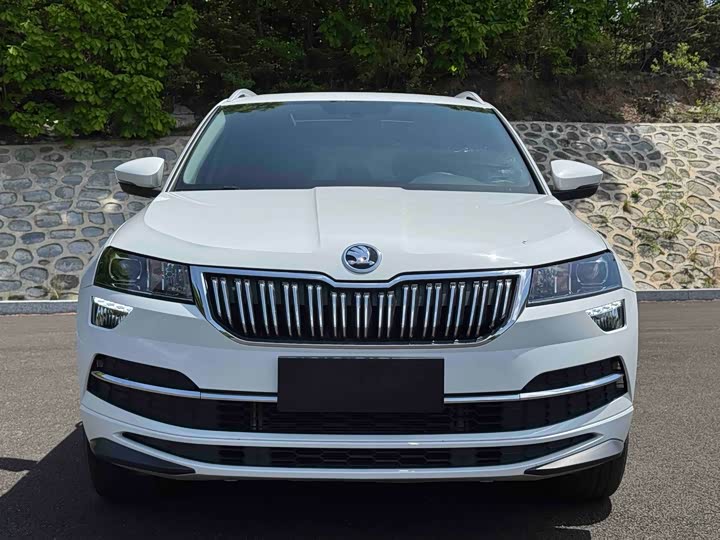 Skoda Karoq, 2023 — фото 2 из 9