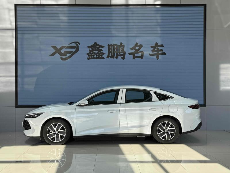 BYD Qin L, 2025 — фото 4 из 12