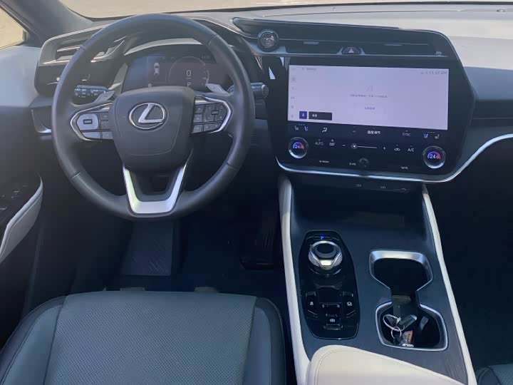Lexus RZ, 2023 — фото 9 из 9