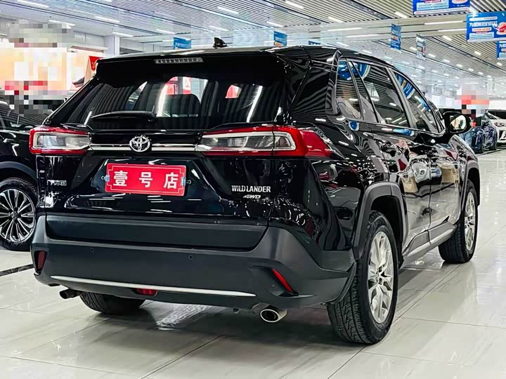 Toyota Wildlander, 2022 — фото 6 из 9