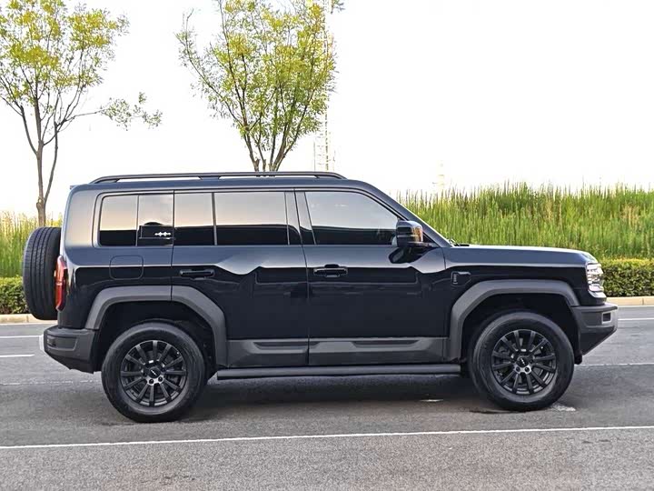 BYD FangChengBao Leopard 5, 2023 — фото 5 из 9