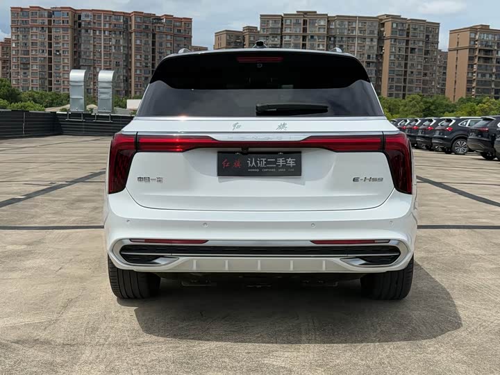 Hongqi E-HS9, 2023 — фото 5 из 9