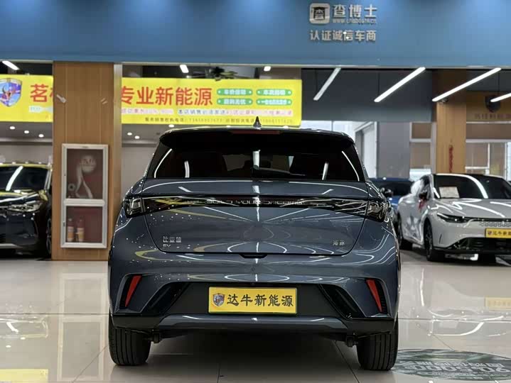 BYD Dolphin, 2025 — фото 5 из 9