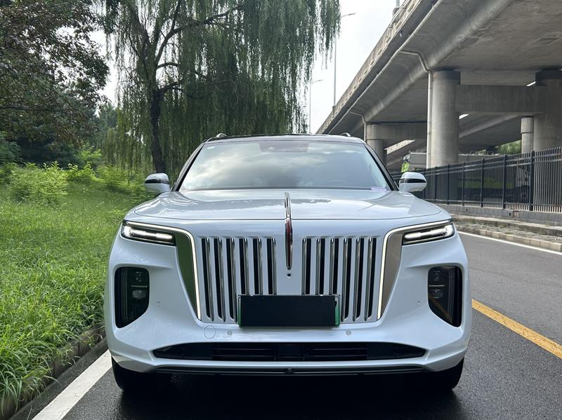 Hongqi E-HS9, 2023 — фото 2 из 12