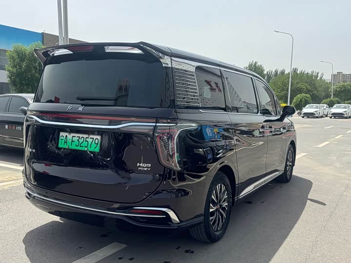 Hongqi HQ9 Hybrid, 2024 — фото 4 из 9
