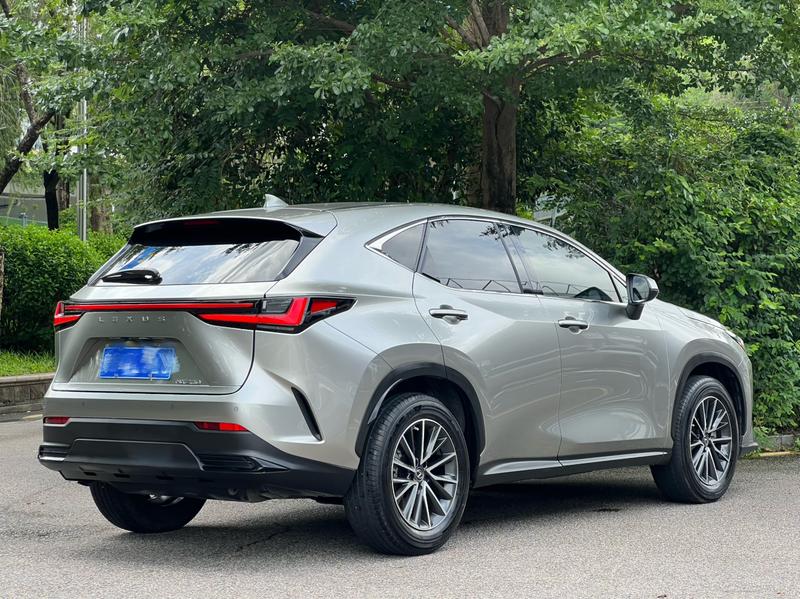 Lexus NX, 2022 — фото 5 из 12