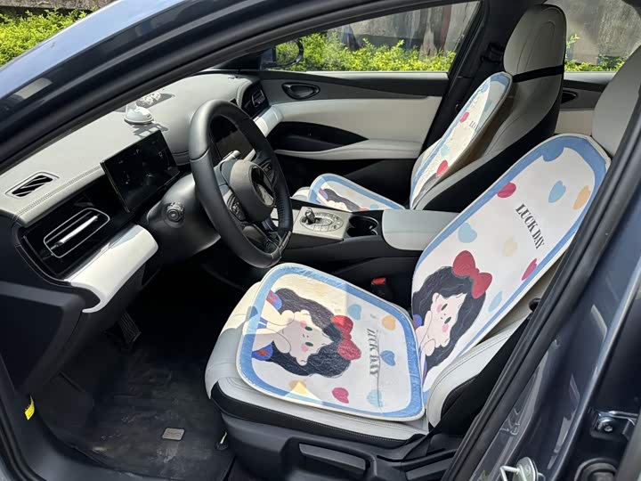BYD Seal 06 Hybrid/EV, 2024 — фото 7 из 9
