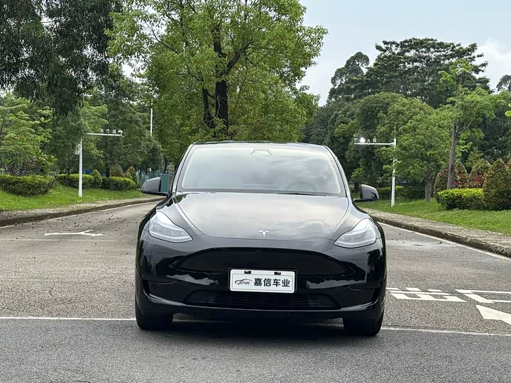 Tesla Model Y, 2022 — фото 2 из 9