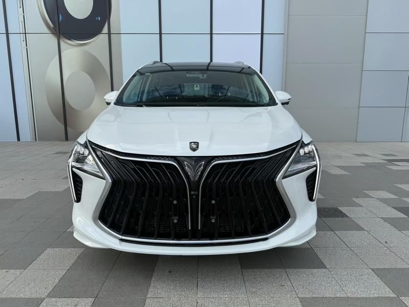 Dongfeng Forthing Yacht, 2024 — фото 2 из 12