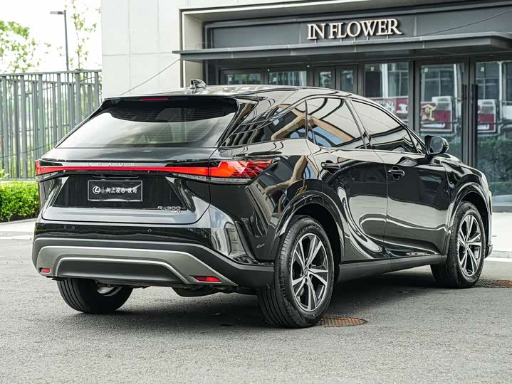 Lexus RX, 2026 — фото 4 из 9