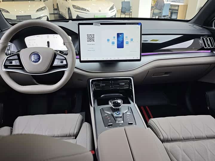 BYD Tang Hybrid/EV, 2024 — фото 5 из 5
