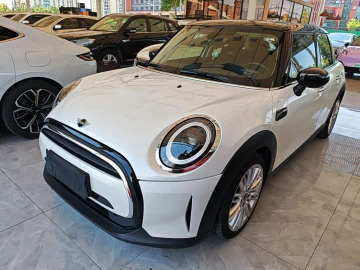 Mini Mini, 2023 — купить в Санкт-Петербурге под ключ