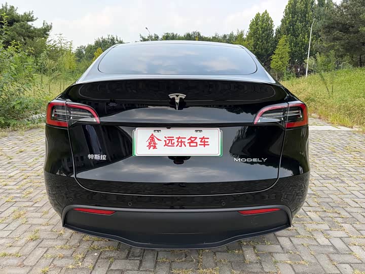 Tesla Model Y, 2022 — фото 7 из 9