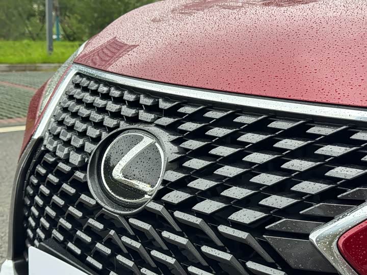 Lexus RX, 2022 — фото 9 из 9