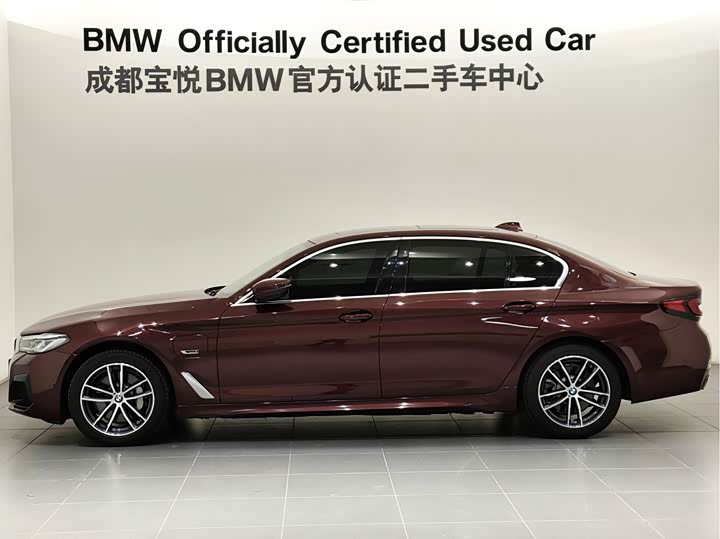 BMW 5 Series Hybrid, 2022 — фото 6 из 9