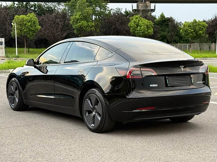 Tesla Model 3, 2021 — фото 7 из 9