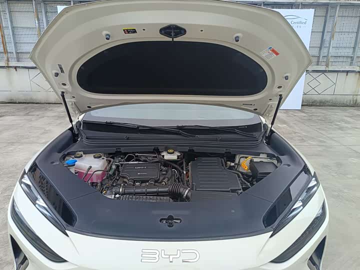 BYD Sea Lion 06 Hybrid/EV, 2025 — фото 4 из 9