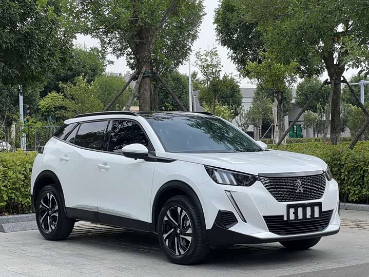 Peugeot 2008, 2023 — фото 3 из 9