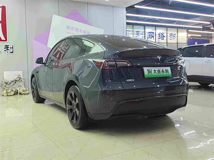 Tesla Model Y, 2024 — фото 6 из 9