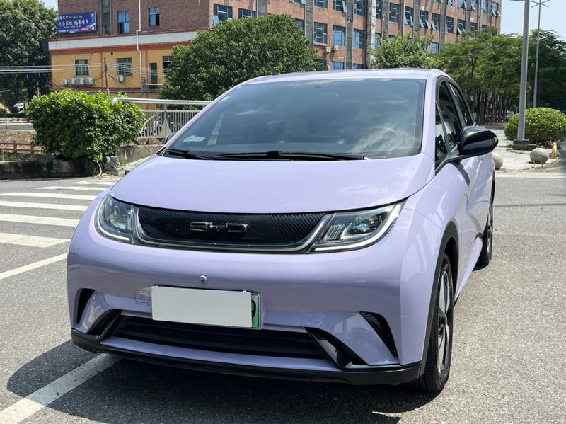 BYD Dolphin, 2023 — купить в Ярославле под ключ