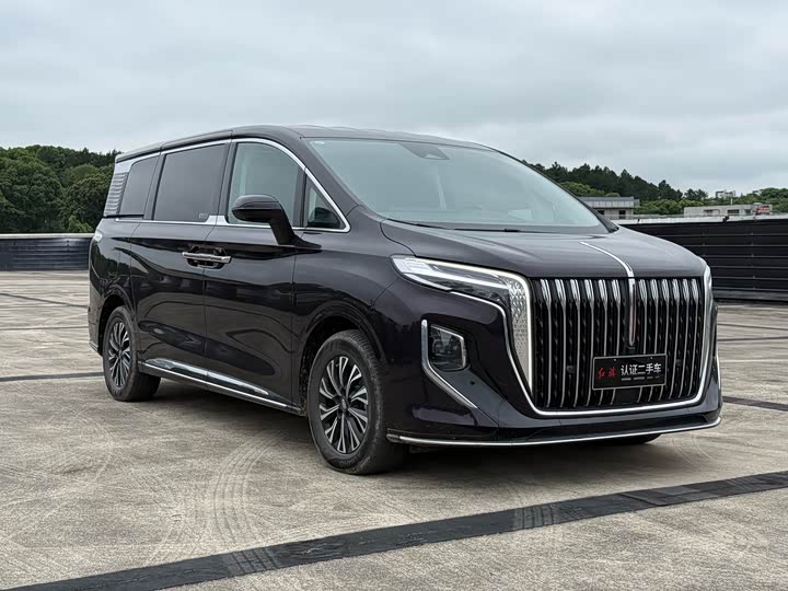 Hongqi HQ9 Hybrid, 2024 — фото 3 из 9