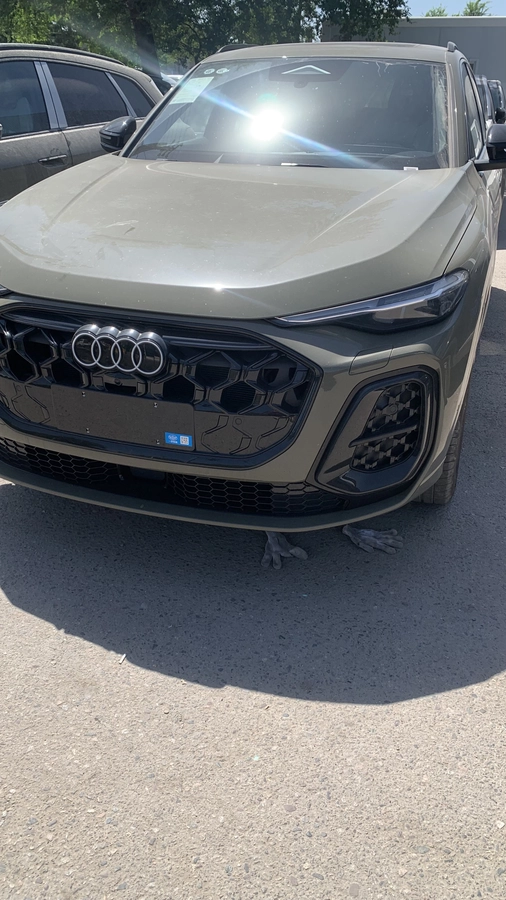 Audi Q5, 2026