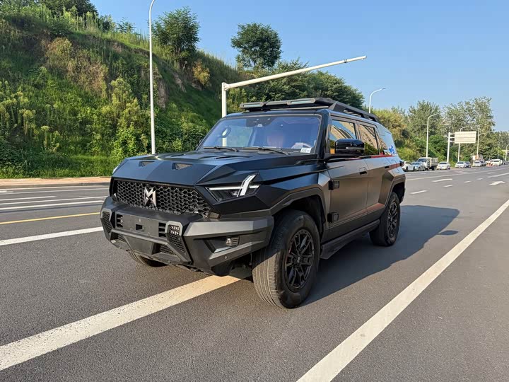 Dongfeng Mengshi M-Hero 917, 2024 — купить в Тамбове под ключ